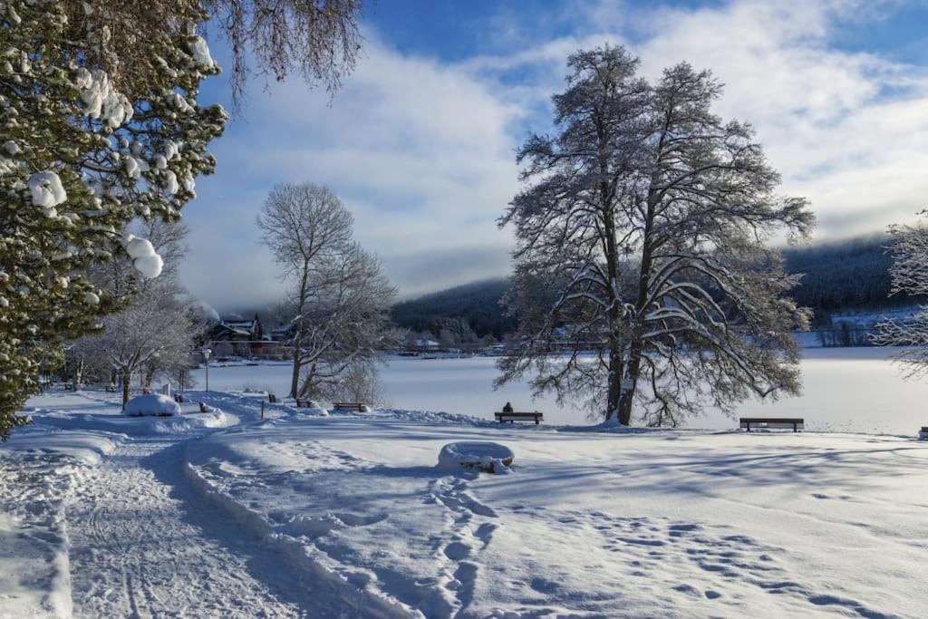 Waldklang Titisee מראה חיצוני תמונה