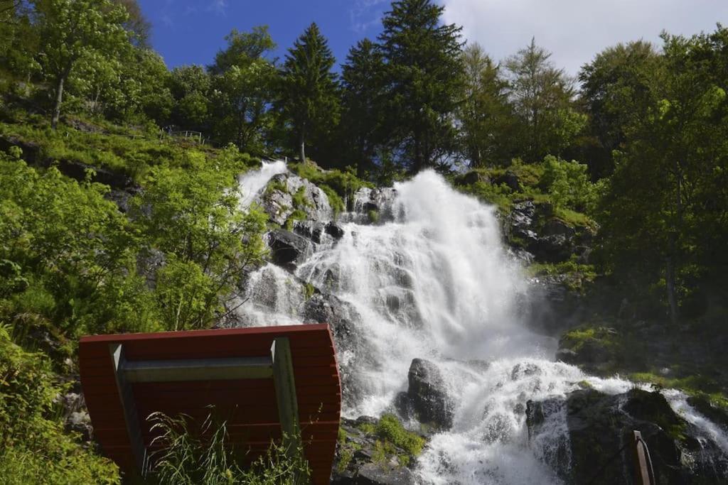 Waldklang Titisee מראה חיצוני תמונה
