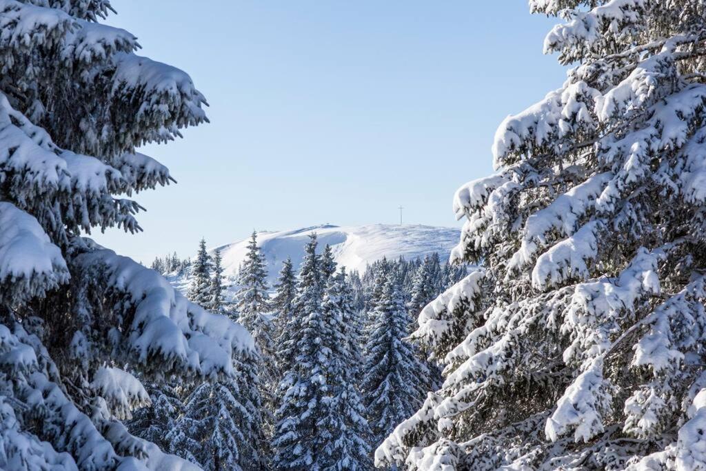 Waldklang Titisee מראה חיצוני תמונה