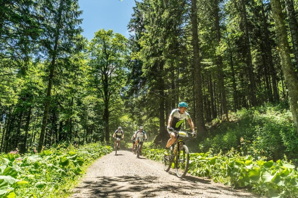 Waldklang Titisee מראה חיצוני תמונה